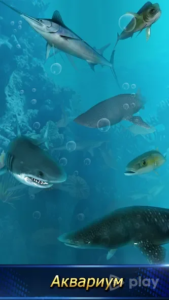 Monster Fishing 2024 477 Bg.png