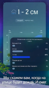 Accuweather 1168 Bg.png
