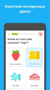 Duolingo 582 Bg.png